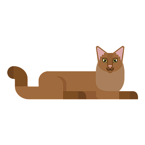 Chat somali