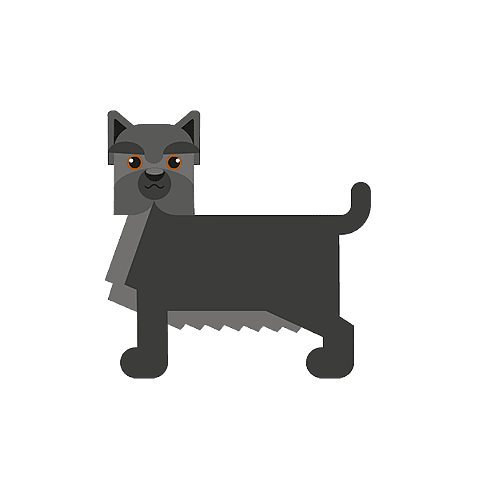 Cairn terrier