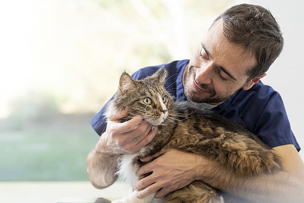 Une personne tenant un chat.