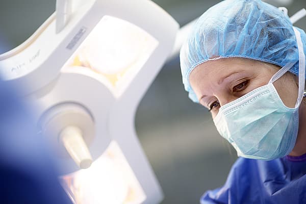 Endodontie chez le chien
