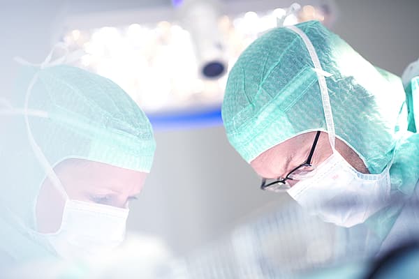 Chirurgie abdominale chez le chien
