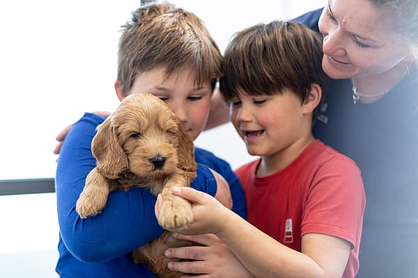 Un groupe d’enfants tenant un chiot.