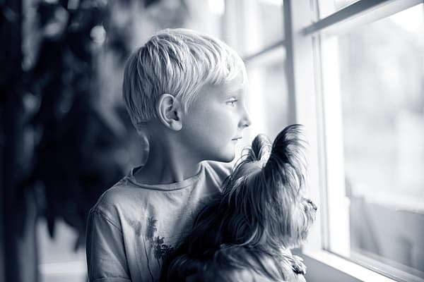 Tumeurs de l’estomac et de l’intestin chez le chien