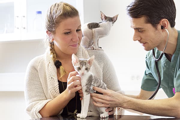 Une personne et une personne tenant un chaton.