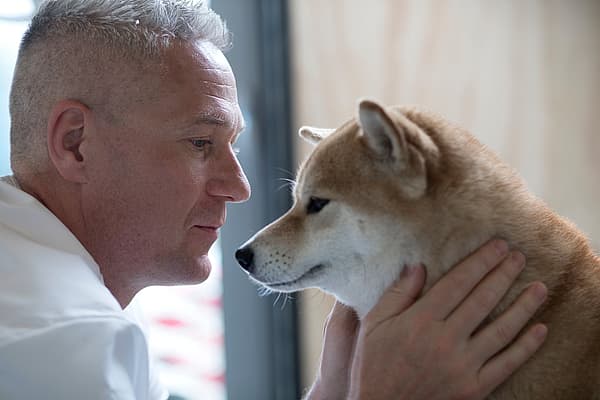 Lipome (boule de graisse) chez le chien