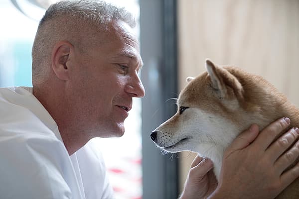 Dermatite pyotraumatique chez le chien