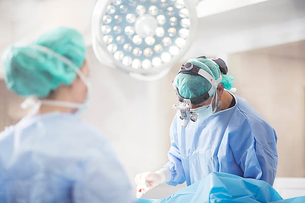 Chirurgie de la hernie chez le chat