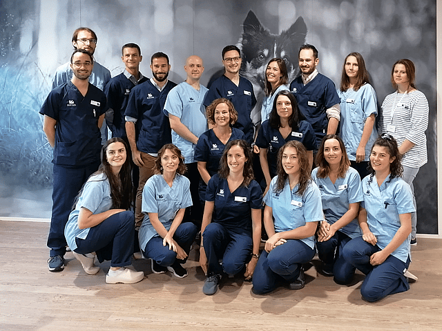 Les membres de l'équipe de la clinique AniCura TRIOVet
