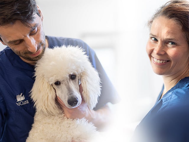 Une personne et une personne tenant un chien.