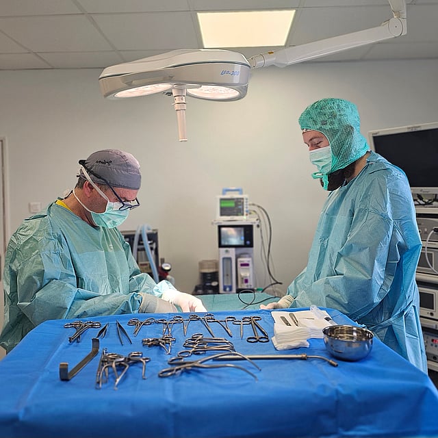 Le service de chirurgie vétérinaire de la clinique AniCura LorraineVet situé à Ludres près de Nancy