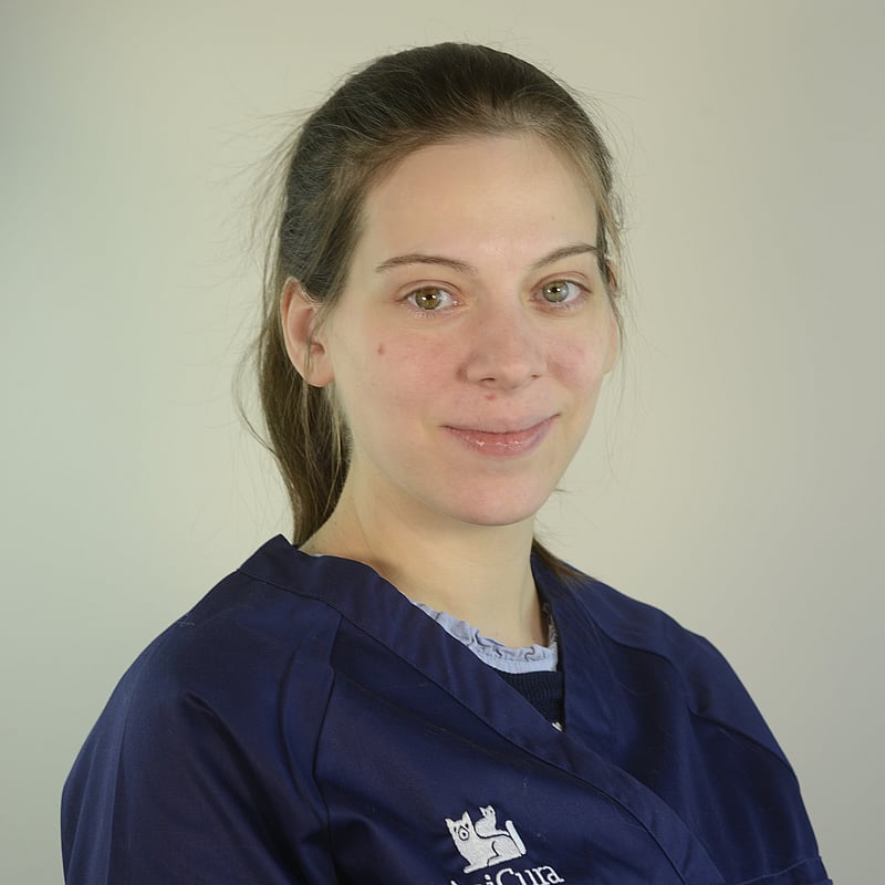 Photo de Dr. Vet. Papageorgiou, Spécialiste Européen En Neurologie Vétérinaire