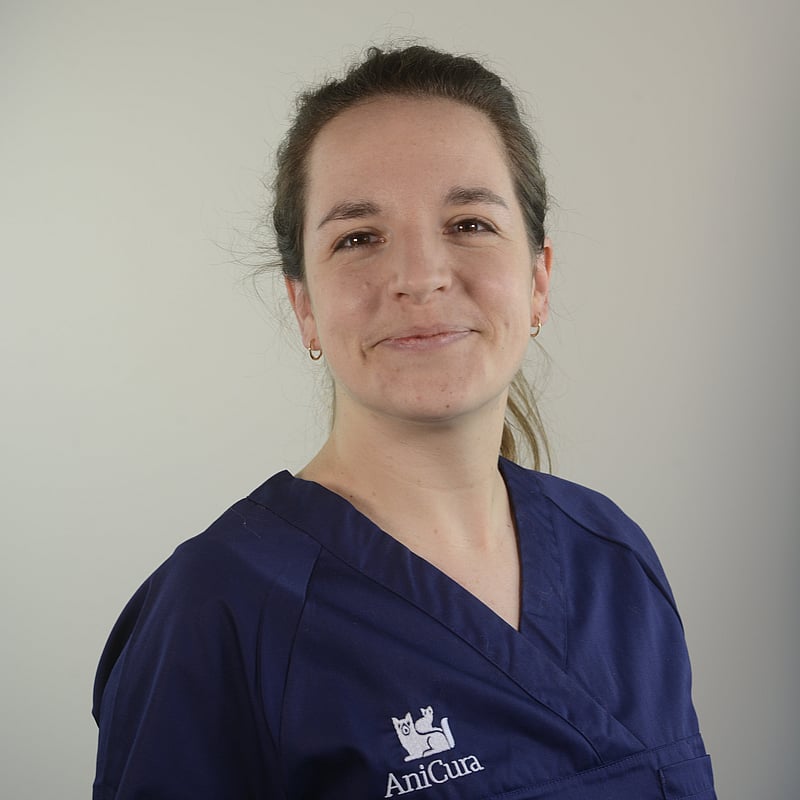 Photo de Dr. Vet. Laffitte, Résidente Du Collège Européen D'anesthésie Et Analgésie