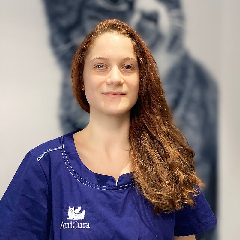 Photo de Dr. Vet. Hocqueloux, Médecine Interne