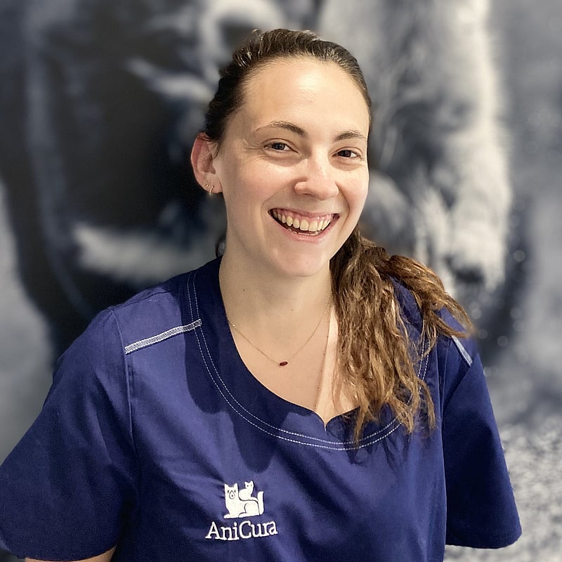 Photo de Dr. Vet. Amat, Médecine Interne