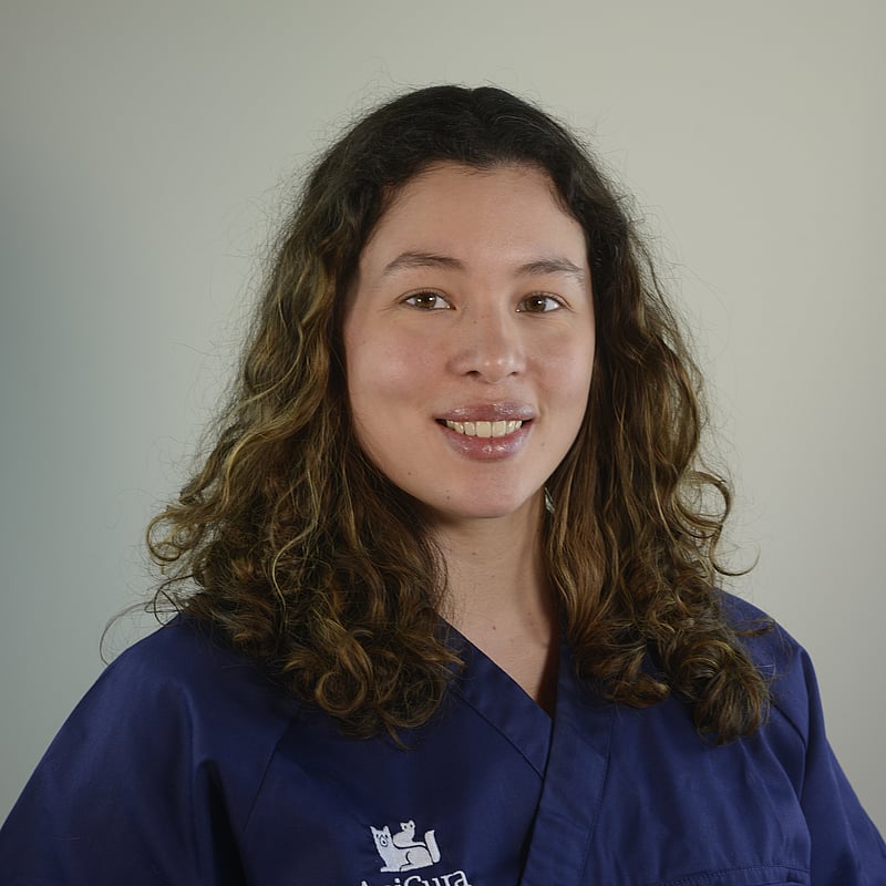 Photo de Dr. Vet. Moreira André, Résidente Du Collège Européen De Dermatologie Vétérinaire