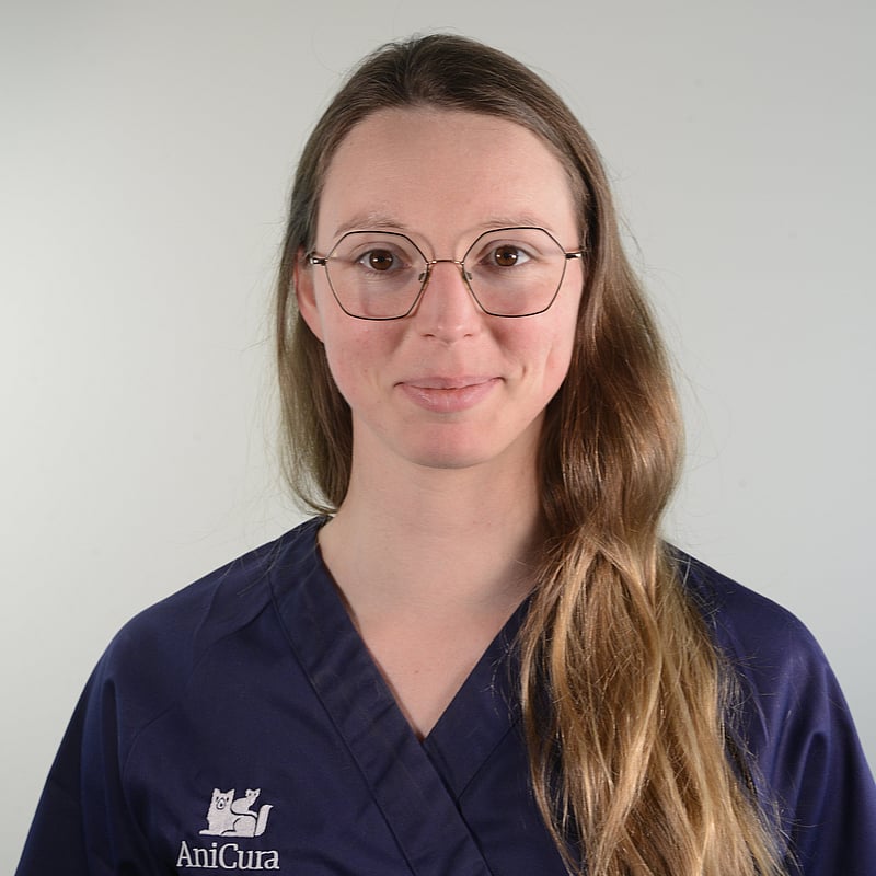 Photo de Dr. Vet. Ferenczi, Chirurgie