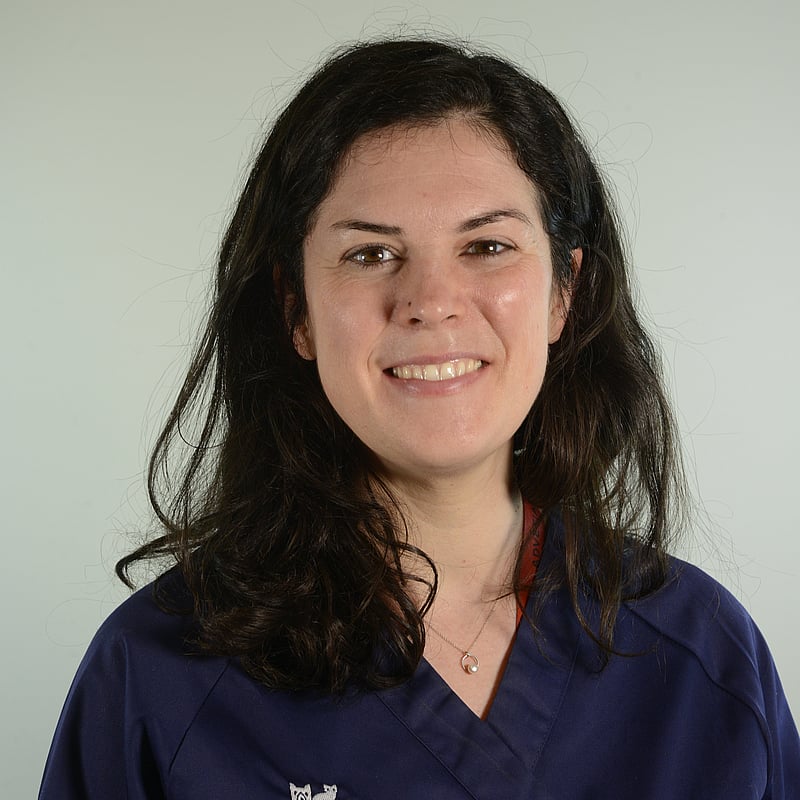 Photo de Dr. Vet. Lemétayer, Spécialiste Européenne En Médecine Interne Vétérinaire