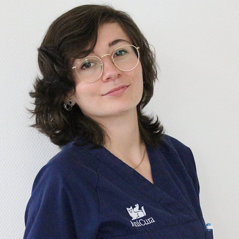 Photo de Dre. Vet. Blanchot, Assistante En Chirurgie