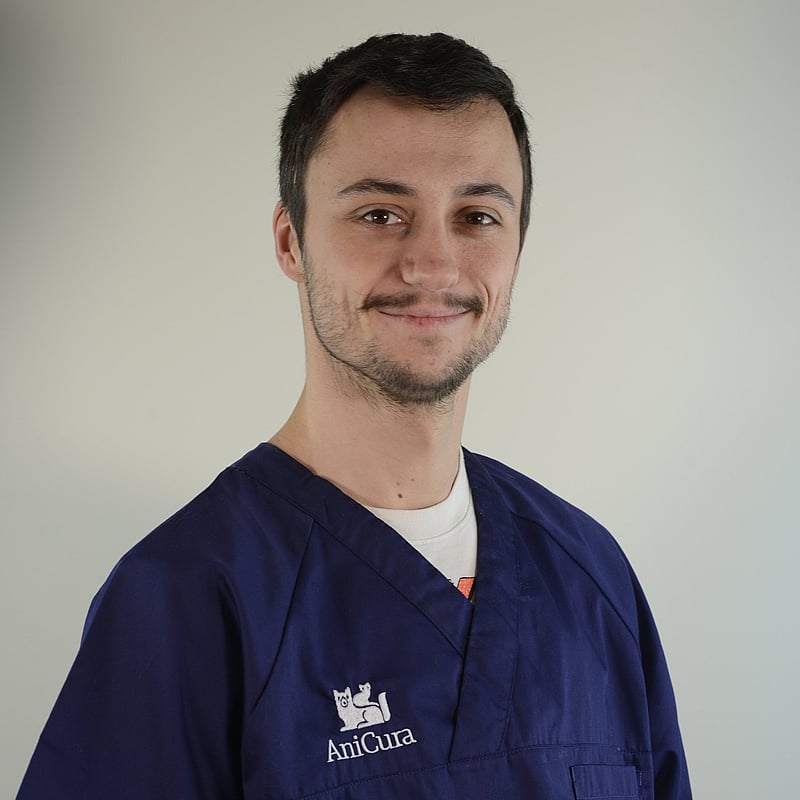 Photo de Dr. Vet. Rey, Imagerie Médicale