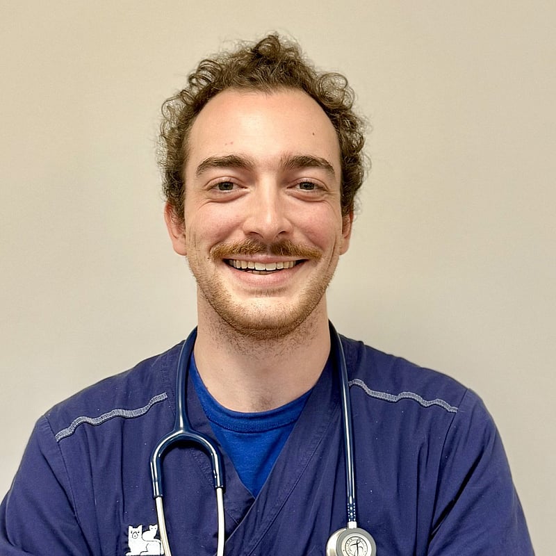 Photo de Dr. Vet. Merveille, Urgences