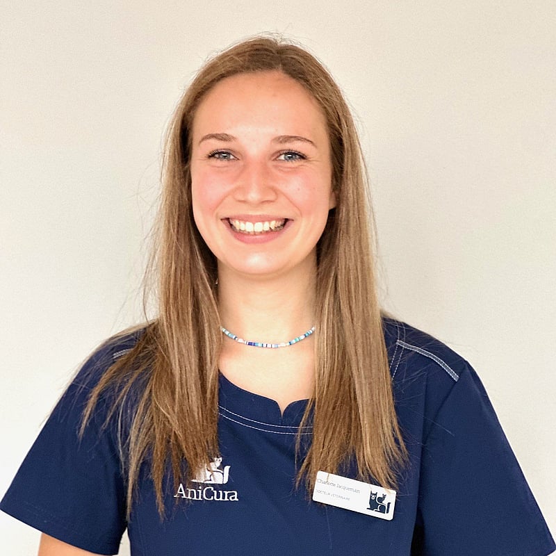 Photo de Dr. Vet. Jacquemain, Clinicienne Du Service D'urgences