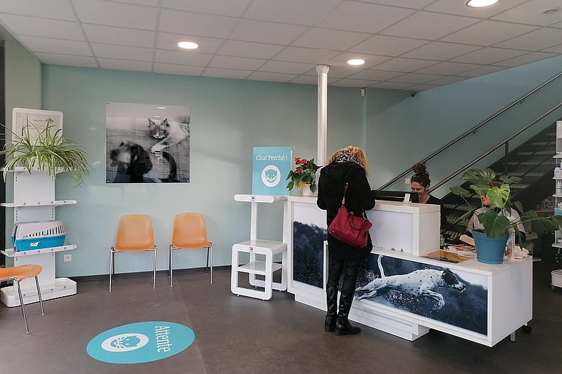 Une personne debout à un bureau dans une pièce avec des chaises et des escaliers.