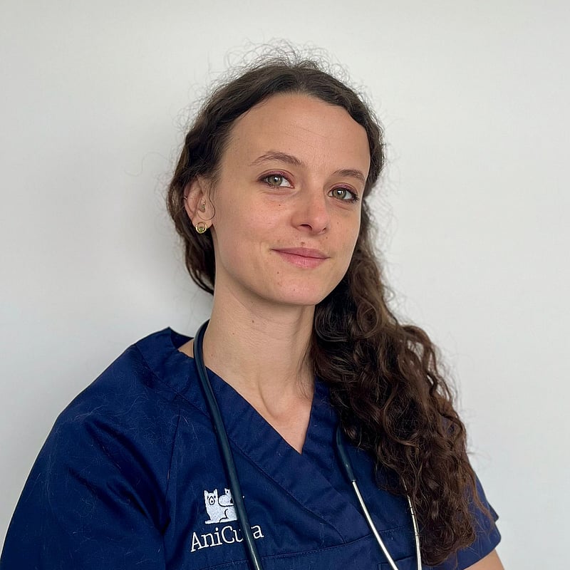 Photo de Dr. Vet. Mey, Cardiologie