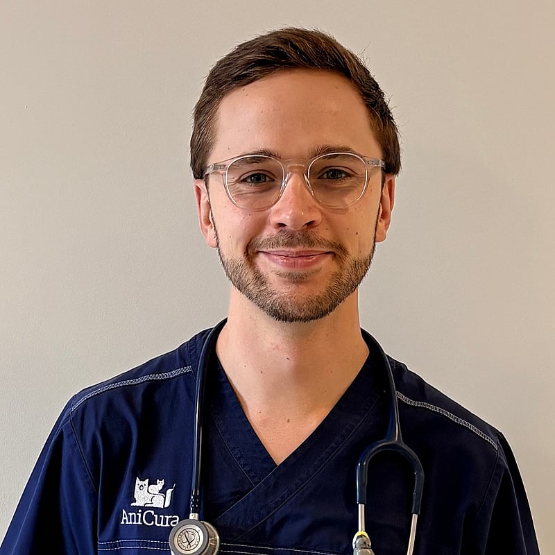 Photo de Dr. Vet. Mathieu, Assistant En Médecine Interne