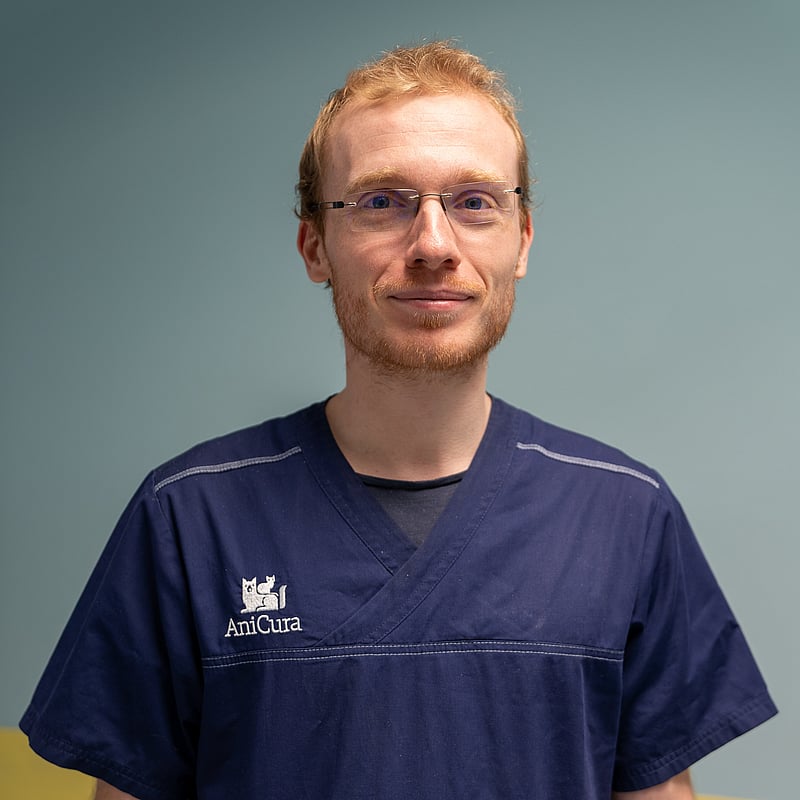 Photo de Dr. Vet. Courtis, Imagerie Médicale