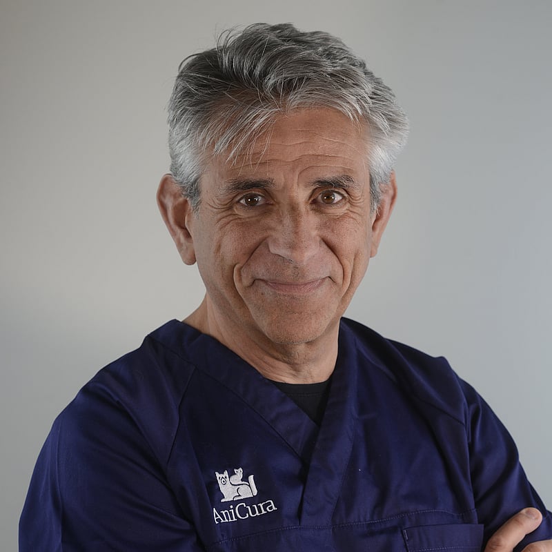 Photo de Dr. Vet. Gaillot, Spécialiste Européen En Imagerie Médicale Vétérinaire