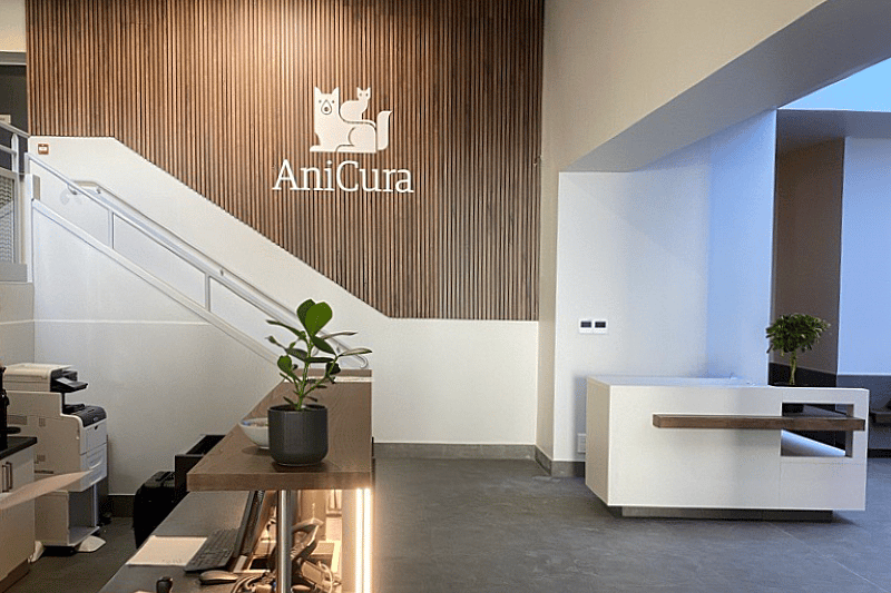 Un bureau en blanc et bois avec un escalier et une plante.