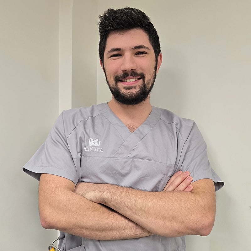 Photo de Dr. Vet. Bissuel, Chirurgie