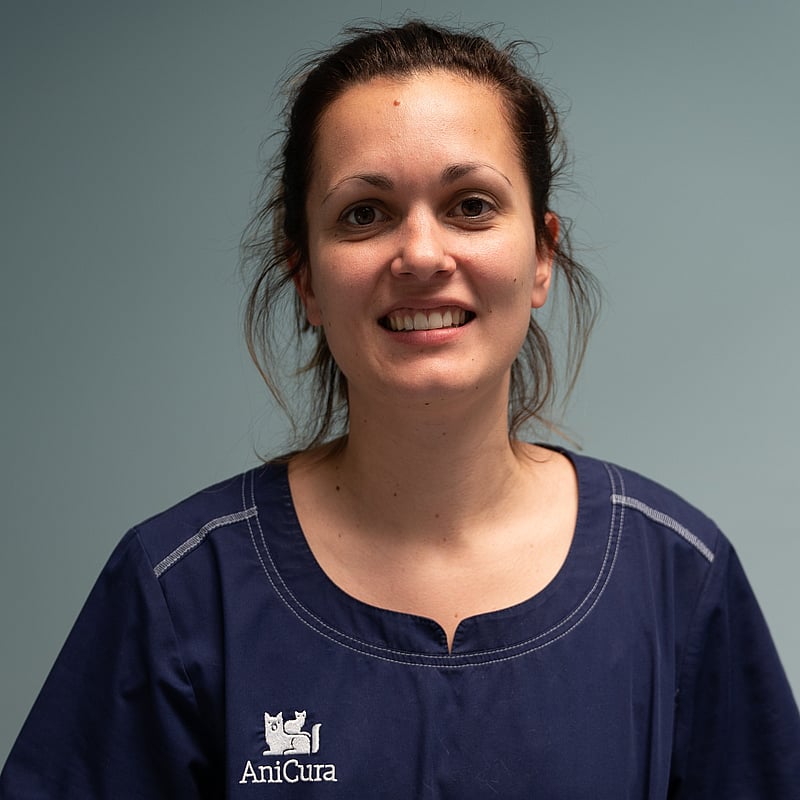 Photo de Dr. Vet. Beaujard, Médecine Interne
