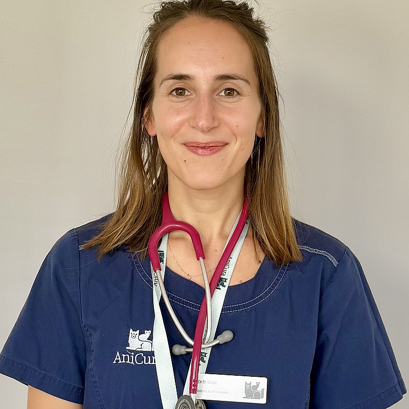 Photo de Dr. Vet. Sudjac, Assistante De Médecine Interne