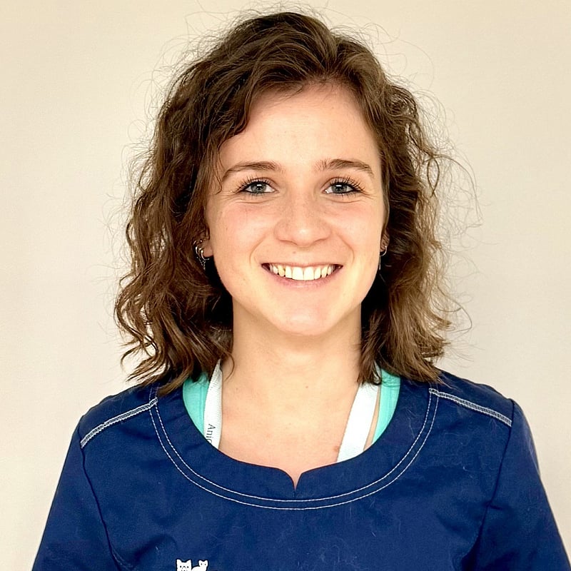 Photo de Dr. Vet. Marchal, Assistante De Médecine Interne