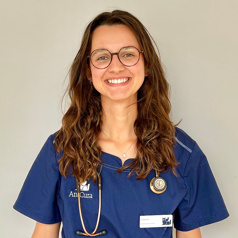 Photo de Dr. Vet. Revon, Urgences