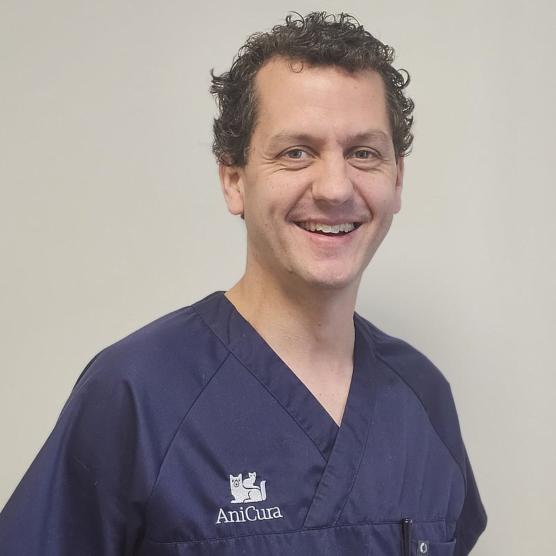 Photo de Dr. Vet. Hoyng, Chirurgie