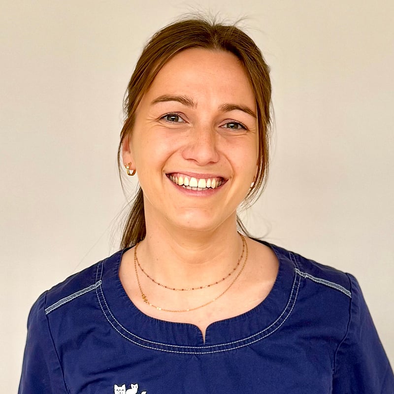 Photo de Dr. Vet. Mailleux, Assistante De Chirurgie