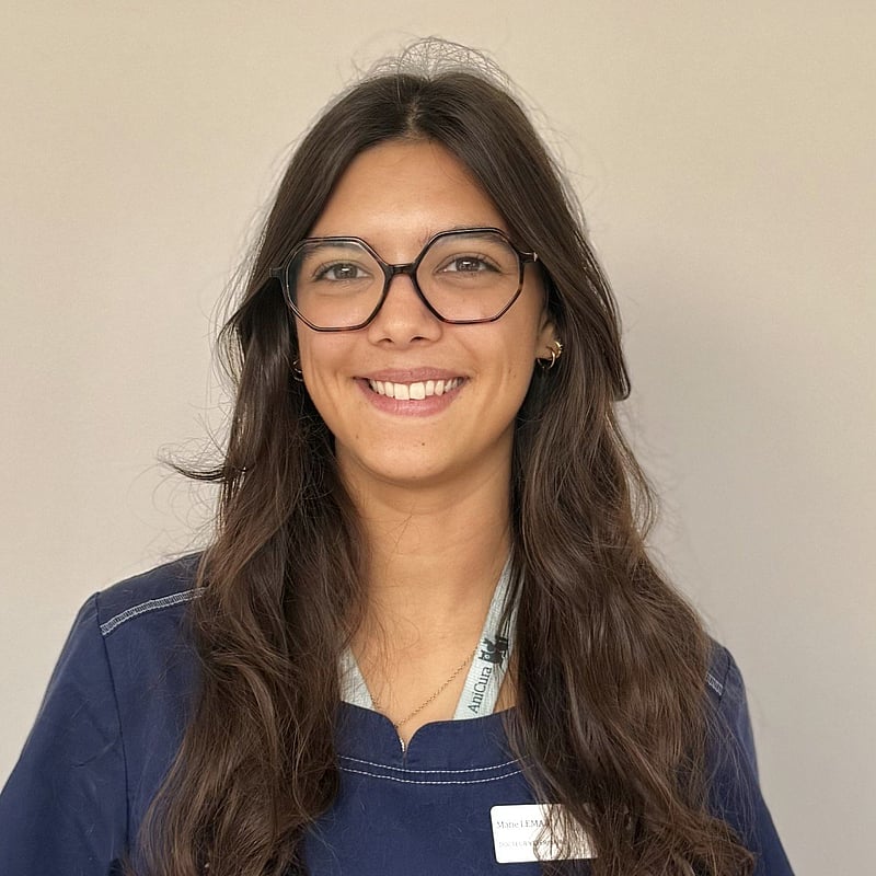 Photo de Dr. Vet. Lemai, Urgences