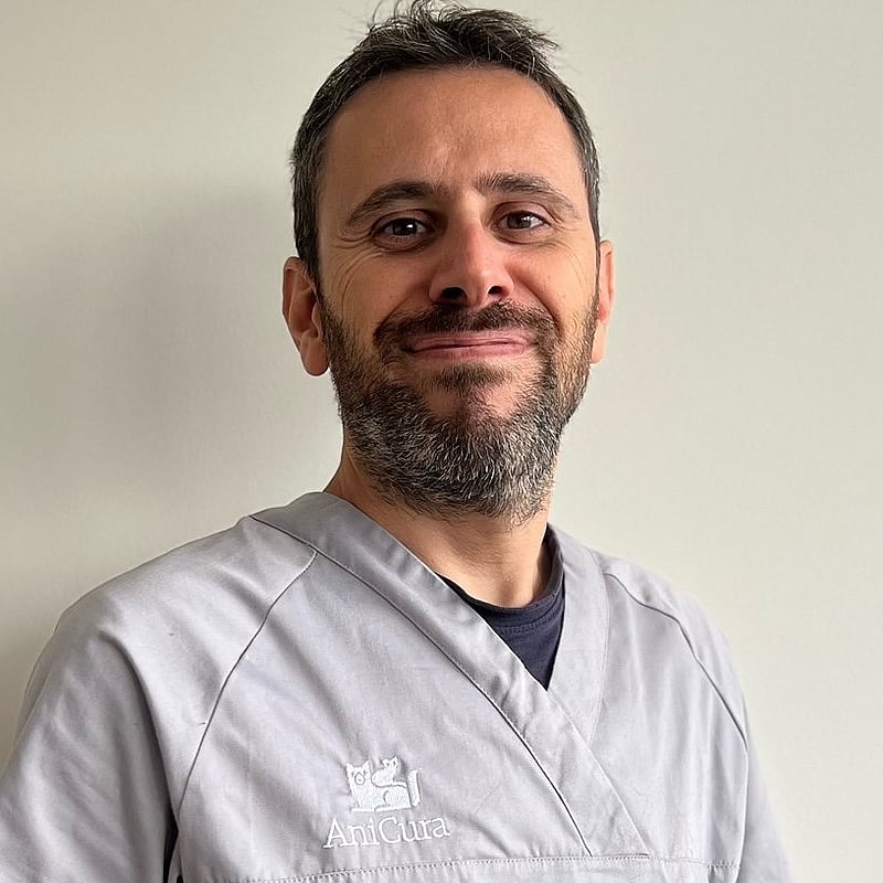 Photo de Dr. Vet. Rossi, Spécialiste Européen En Médecine Interne Vétérinaire