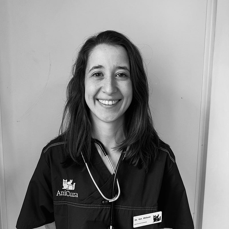 Photo de Dr. Vet. Willand, Assistante En Chirurgie