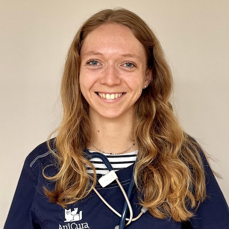 Photo de Dr. Vet. Delorme, Urgences