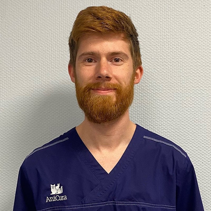 Photo de Dr. Vet. Bergeot, Interne
