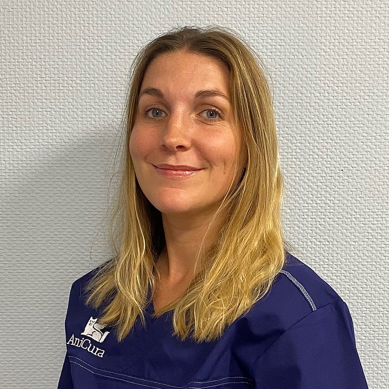 Photo de Dr. Vet. Piet, Interne
