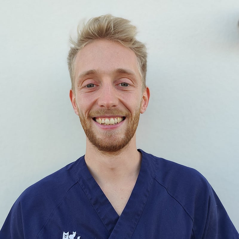 Photo de Dr. Vet. Davy, Urgences