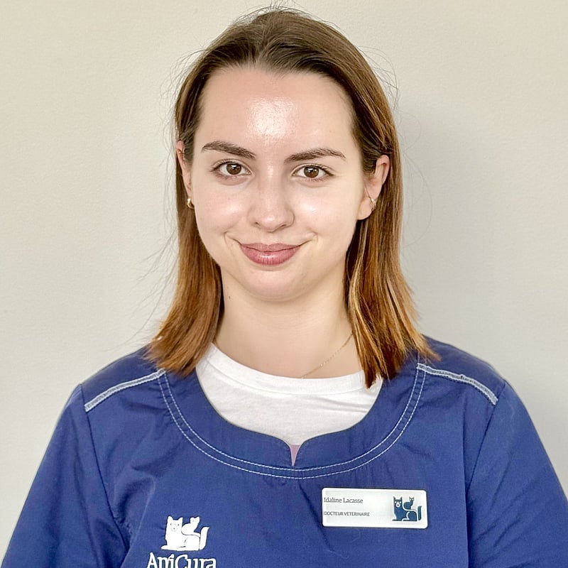 Photo de Dr. Vet. Lacasse, Assistante Du Service De Médecine Interne