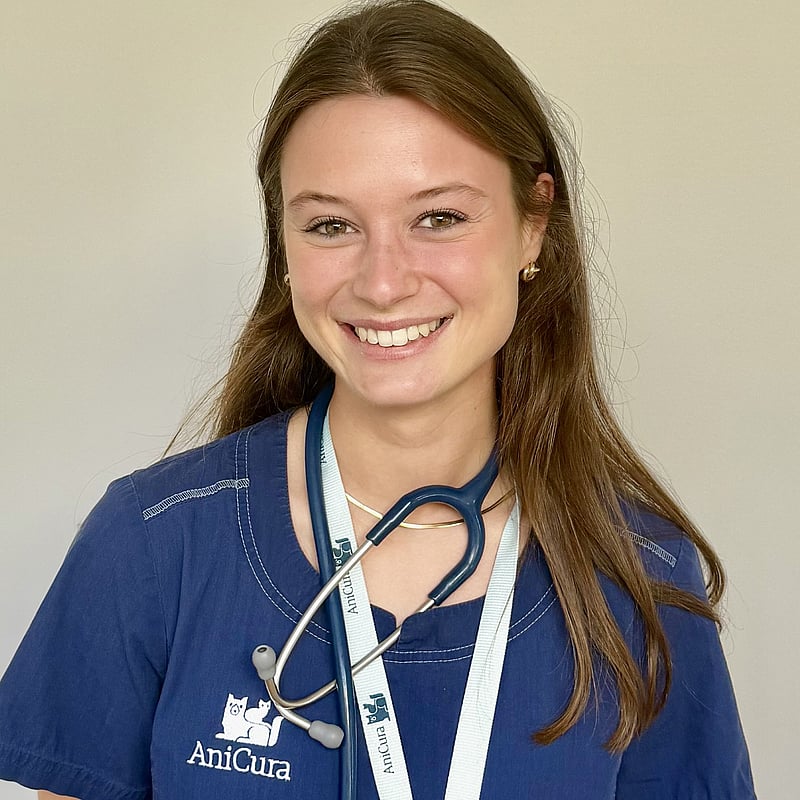 Photo de Dr. Vet. Delahaye, Urgences