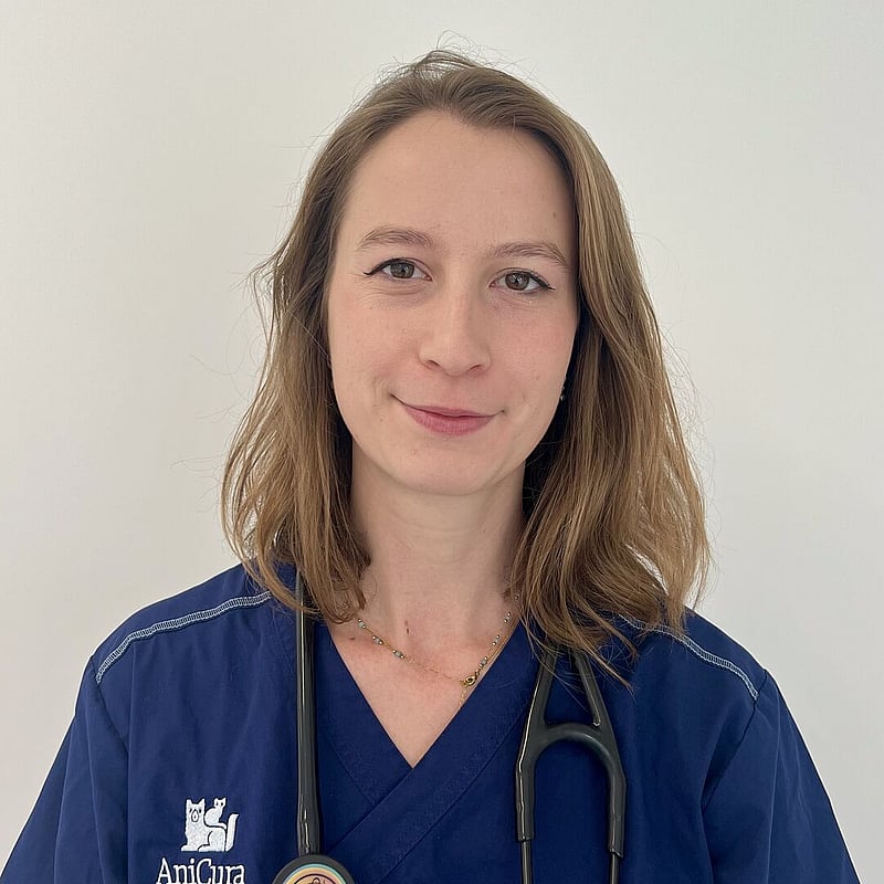 Photo de Dr. Vet. Rabozzi, Urgences