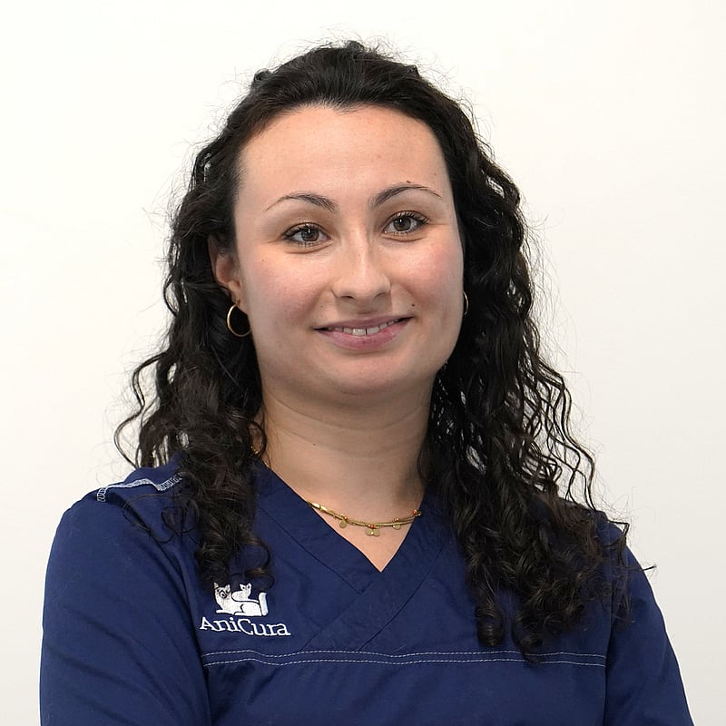 Photo de Dr. Vet. Renoux, Urgences