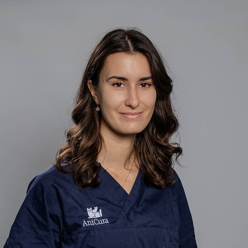 Photo de Dr. Vet. Montenon, Clinicienne En Imagerie Médicale